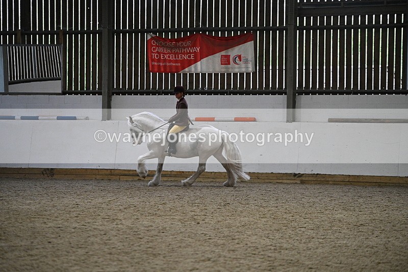 WJ7_3669 - Class 16 Ridden Coloured/ Odd Coloured