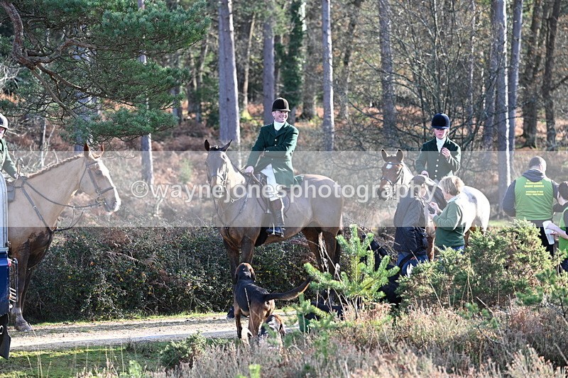 WJ7_7439 - Line 3 (no line 4 or 5)