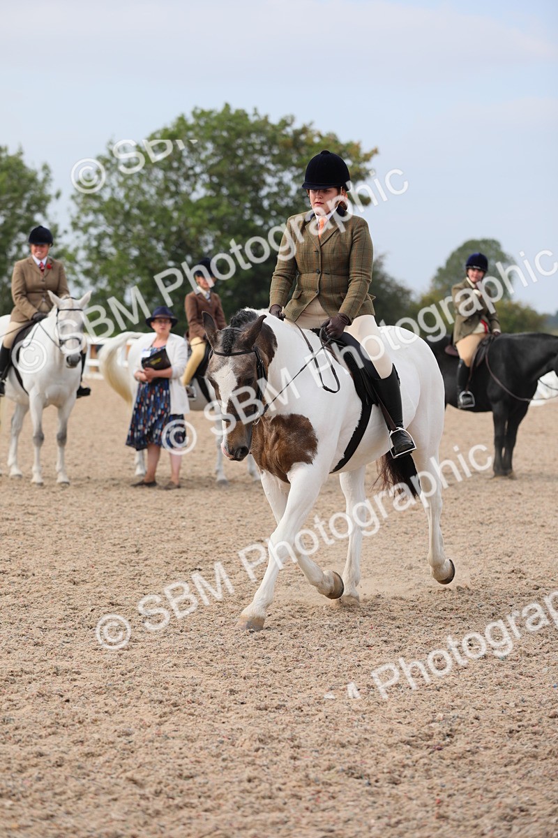 SBM_16984 - Class 314 Family Horse/Pony
