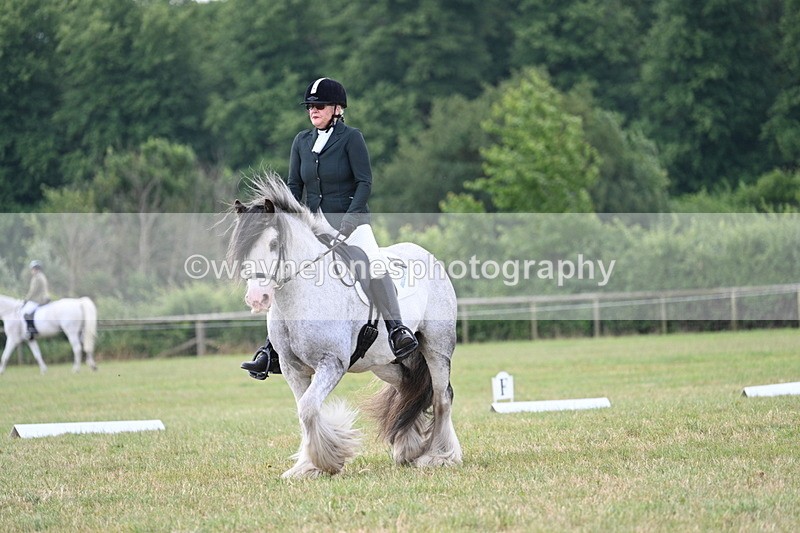 WJ7_4647 - Time 10:59 to 11:17