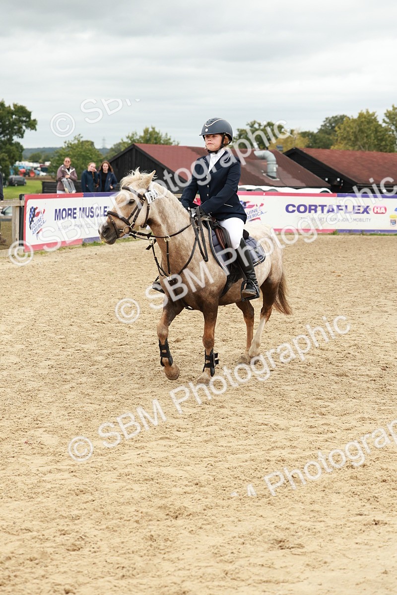 SBM_67066 - J13 - Junior Pony 60cm Championship