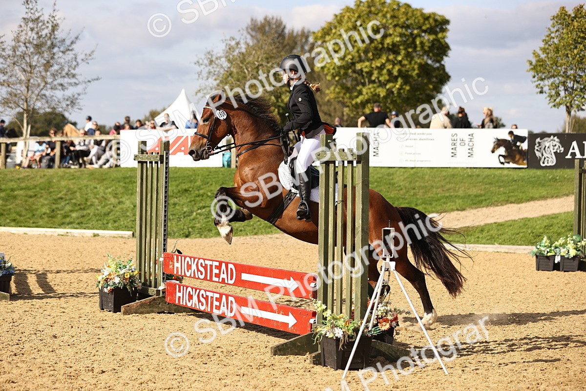 SBM_49270 - J9 - Junior Pony 70cm Championship