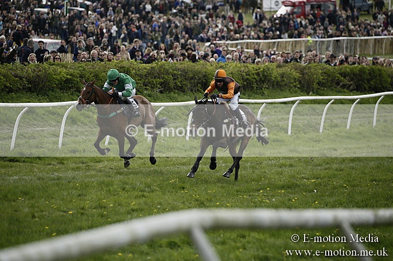 PtP 170417 191 - Old Berks Point-to-Point Lockinge 17/04/17