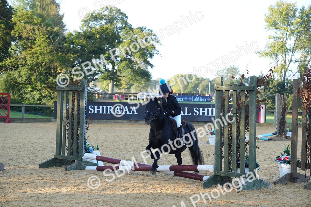 SBM_58912 - J63 - Minis Clear Round 30cm 40cm