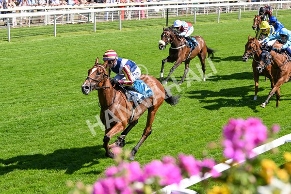 110725-Race 4-Dain Ma Nut In-4295 - Race 4 3.55pm Azets Handicap