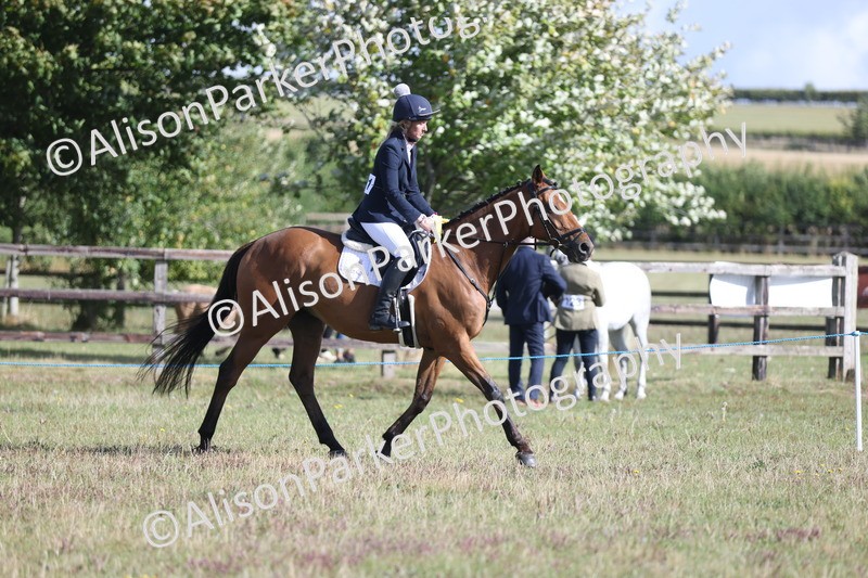 20250831-0962 - Class 14 - Ex Racehorse