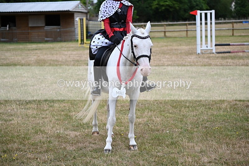 WJ6_4957 - Class 11 Fancy Dress