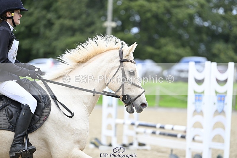 251005A-124941-03908 - Cls 08 Mini 70-75cm