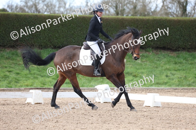 20260228-0708 - Class 5 - Novice 2