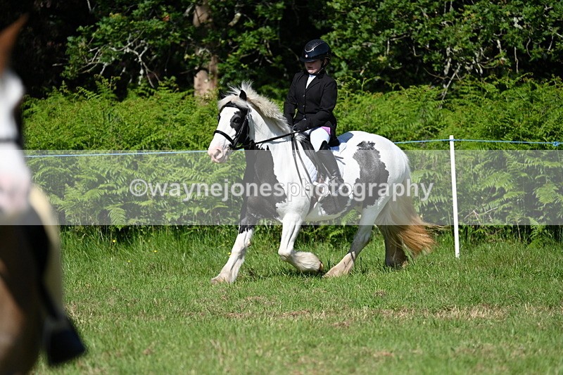WJ7_0518 - Class 8 First Rally Pony