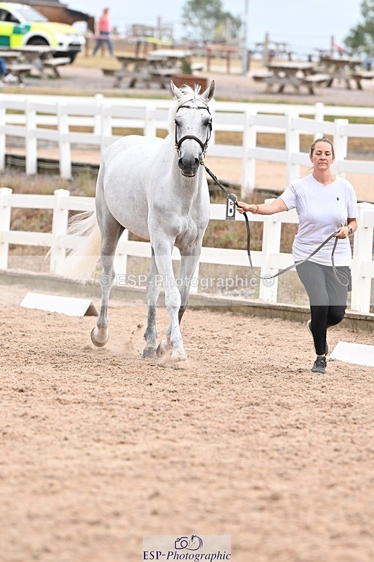 250716-152255-01893 - Trot Up 2.30 to 3.30