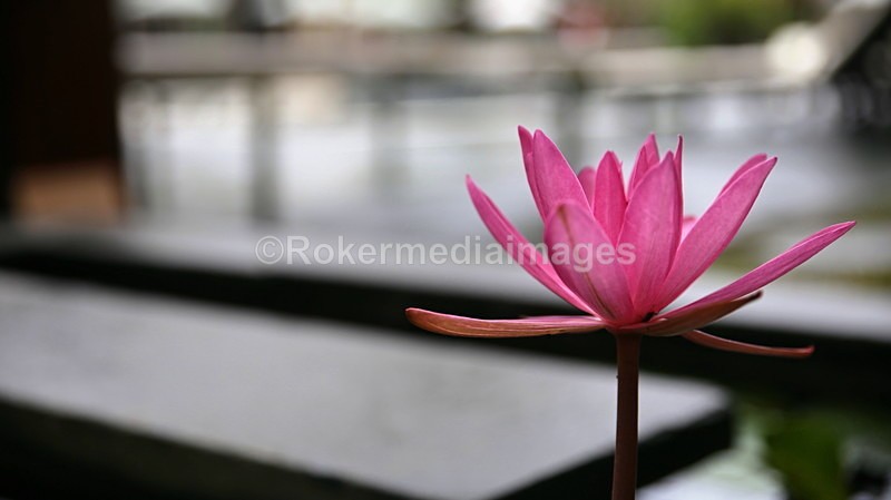 VIET_0629 - Vietnam 2017