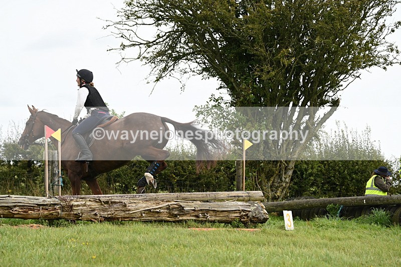 WJ6_9921 - Time 14:11 to 14:30