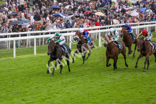 130724-Race 2-Starlust-1975 - Race 2 2.35pm John Smith's City Walls Stakes