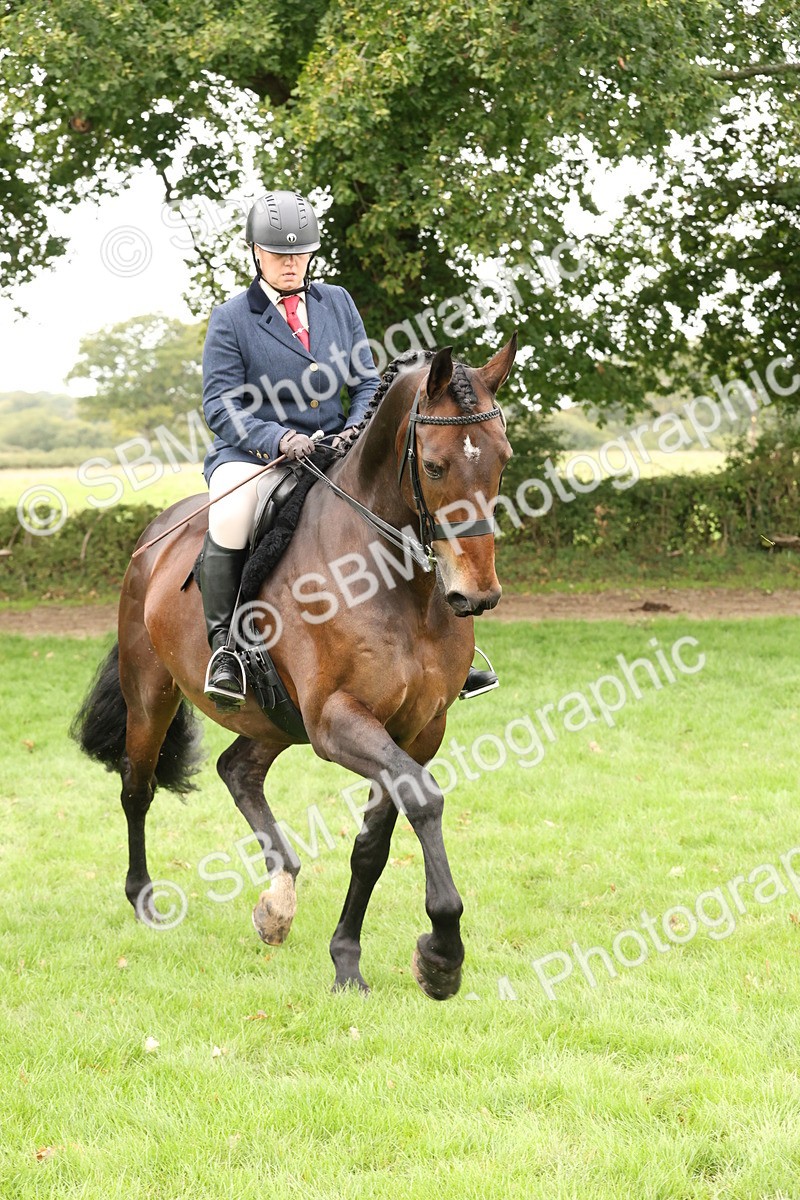 SBM_63012 - S64 - Foreign Breeds Ridden