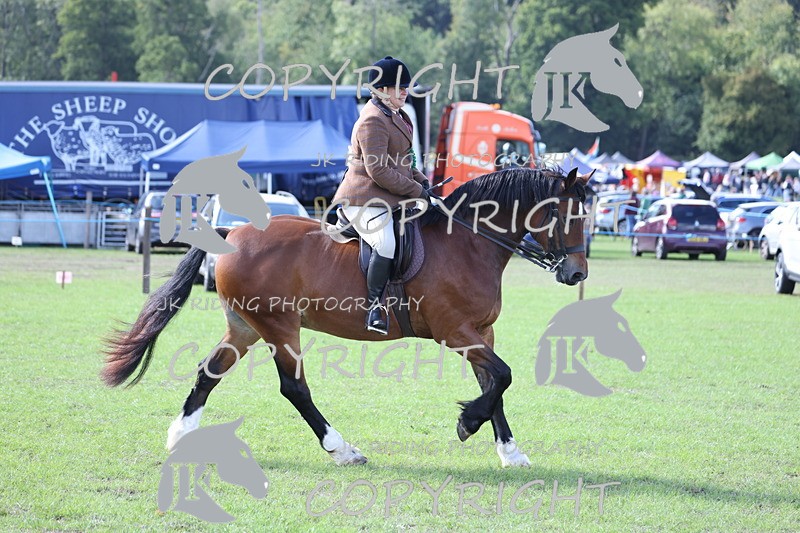 APP_3741 - Class 12 M&M ridden