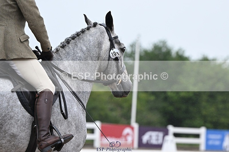 250705-150930-01983 - P3 Sections BDP3SNR, BDP3JNR 12.46 to 13.35