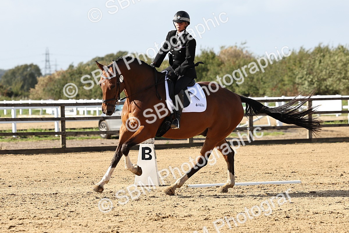 SBM_002251 - Class 50 - Novice 1