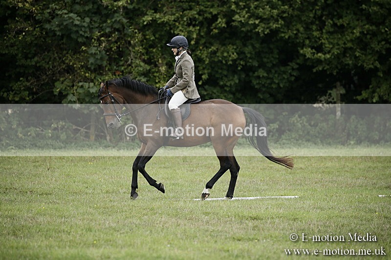 BVR090918 46 - BVRC Dressage and Show Jumping 09/09/18