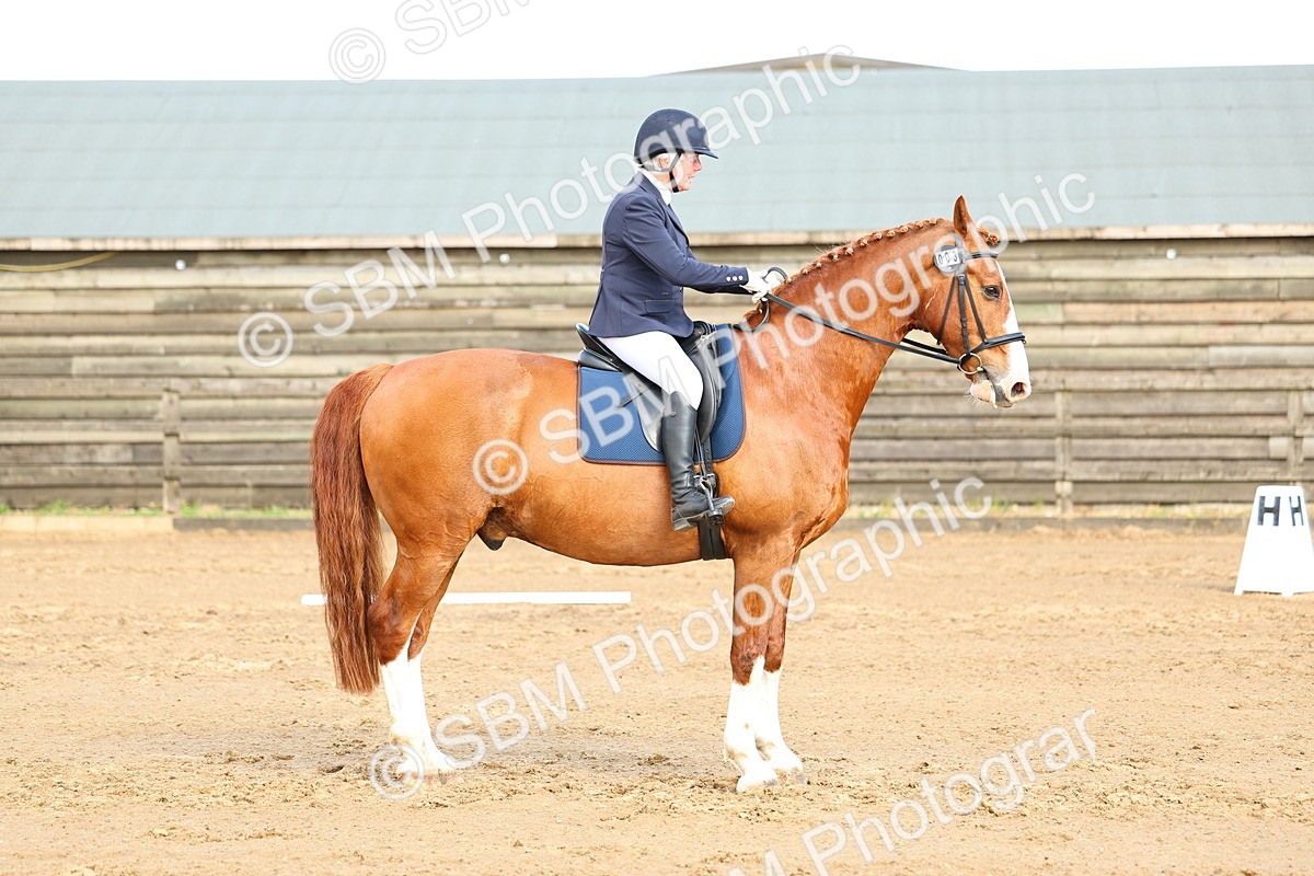 026A4172 - Class 3 - Prelim 2