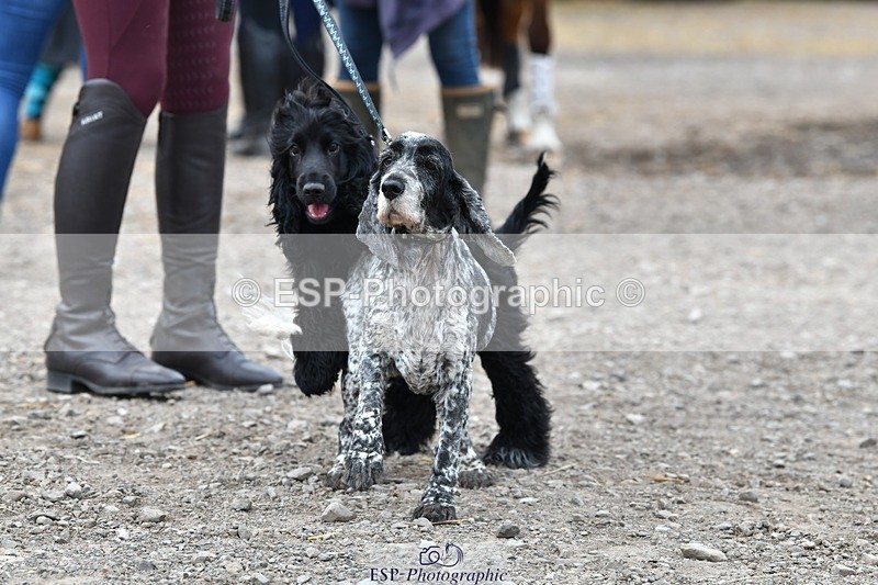 230817-124214-02795 - Stable Shots