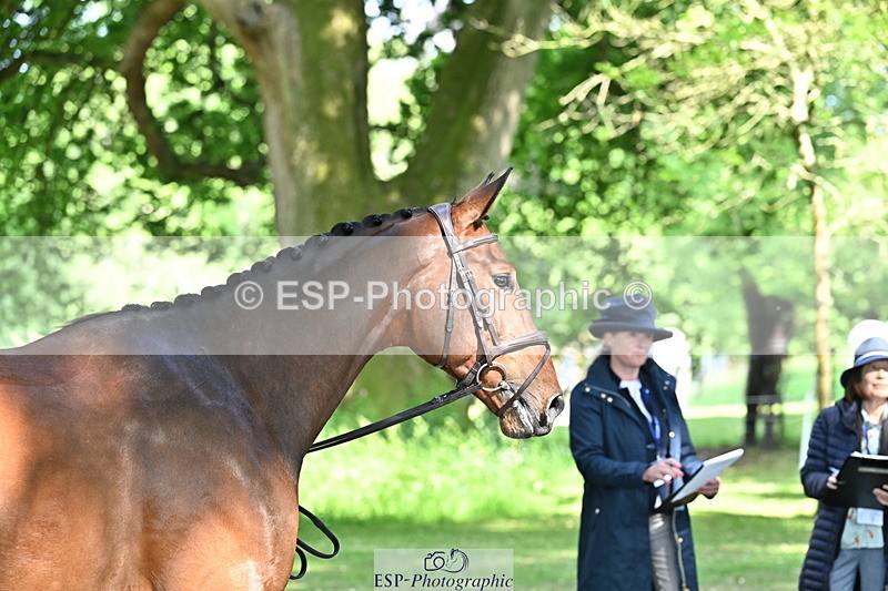 250521A-160537-00912 - C-271-Kirsty.Chabert-OPPOSITION.HELIOS