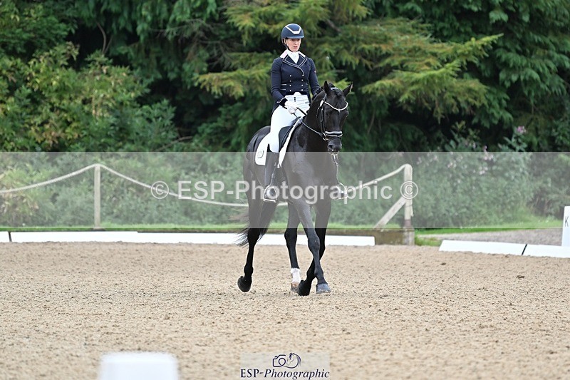 240810-102549-02659 - 235-Rebecca.Cowderoy-Nights.Dream