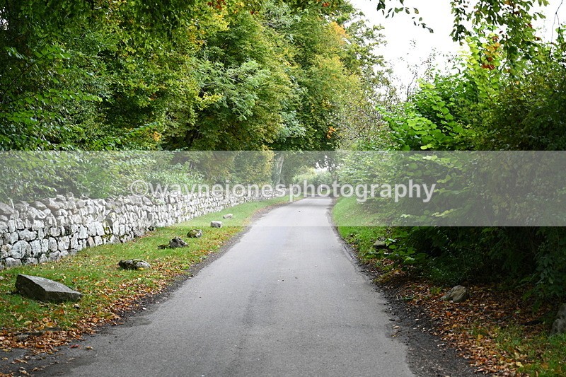 WJ7_2991 - Camera 1 Road