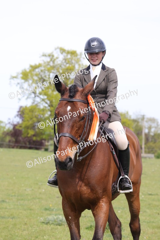 20260426-4444 - Class 34 - Best Riding Horse Over 14.2hh