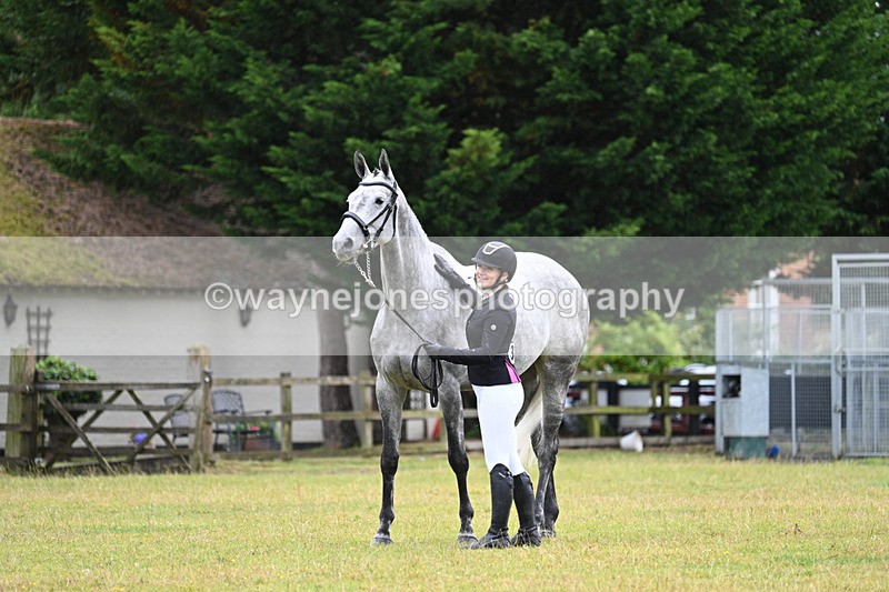 WJ7_6201 - Class 4a Prettiest Mare over 14hh
