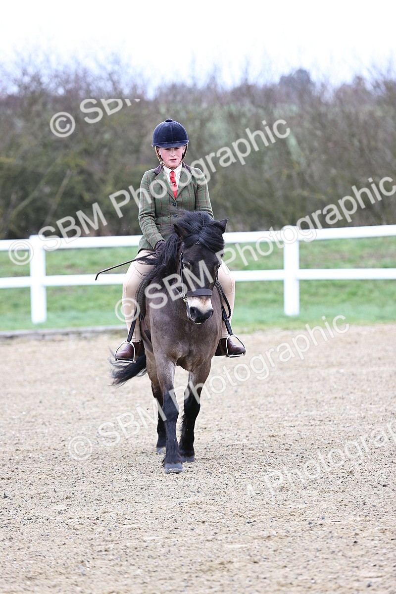 SBM_006825 - Class 29 - 30 - M&M Pure Novice Small-Large Breeds