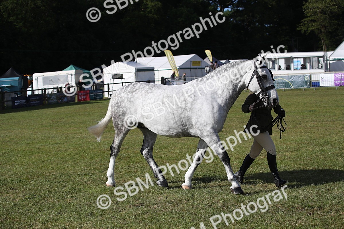 SBM_11129 - Class 92-93 - LIHS BSHA Rising Star Cobs