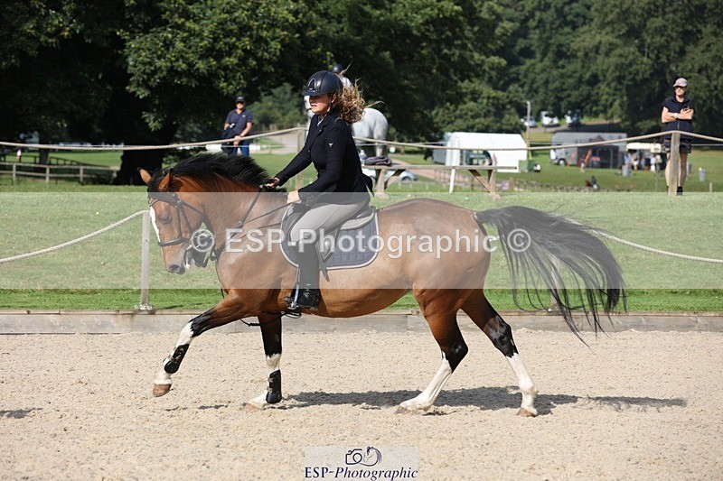 230908-103452-00502 - Cls 6 Snr British Novice & 90cm Open