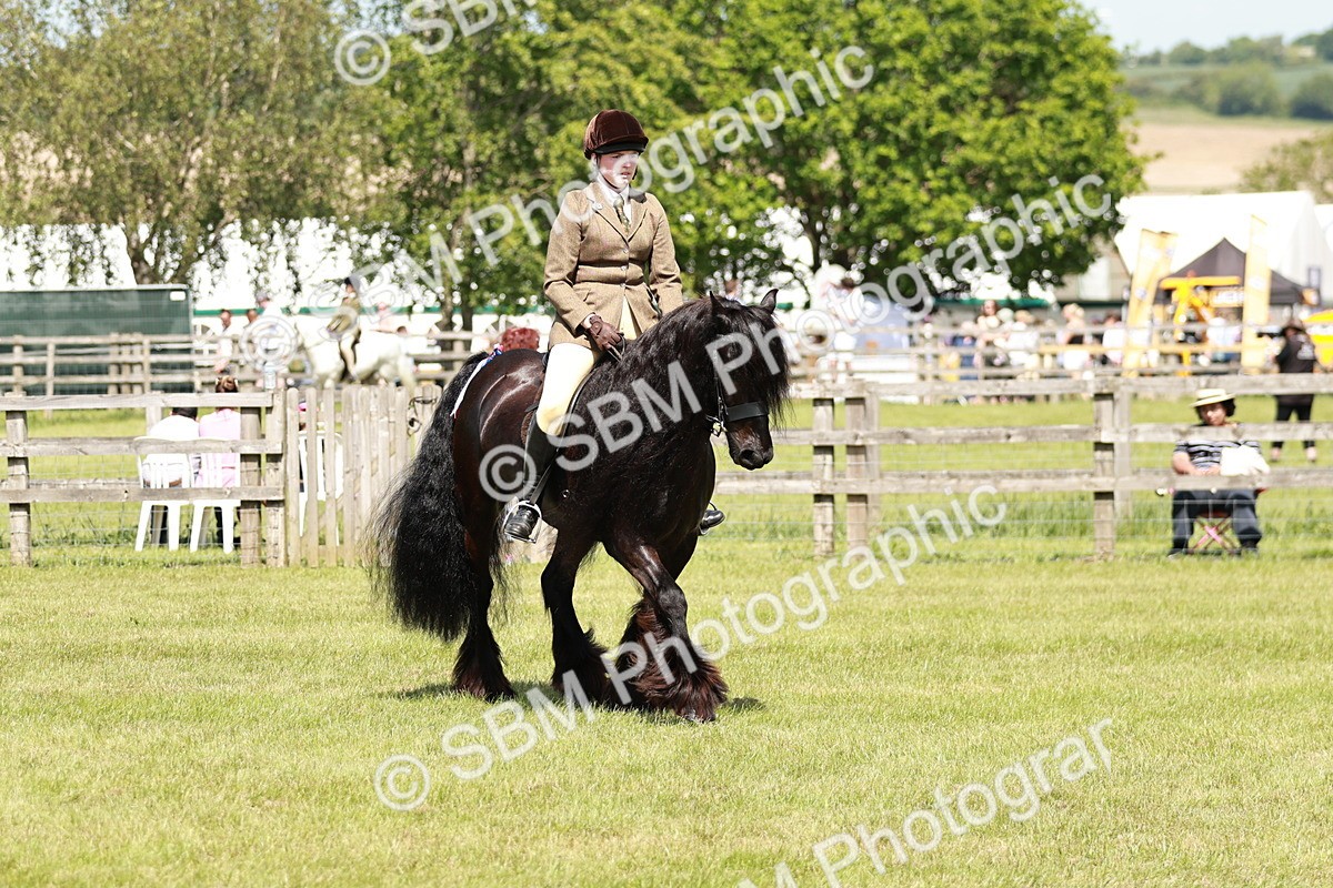 SBM_07118 - Class 26-30 - Mountain and Moorland Ridden