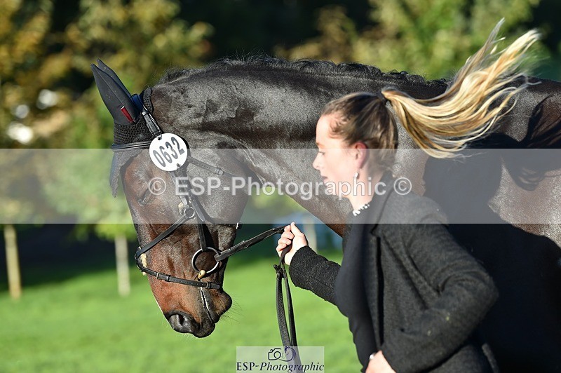 231022-092602-21786 - 632-ANGELL'S.CHOICE-Saffron.Cresswell-TrotUp+SJ