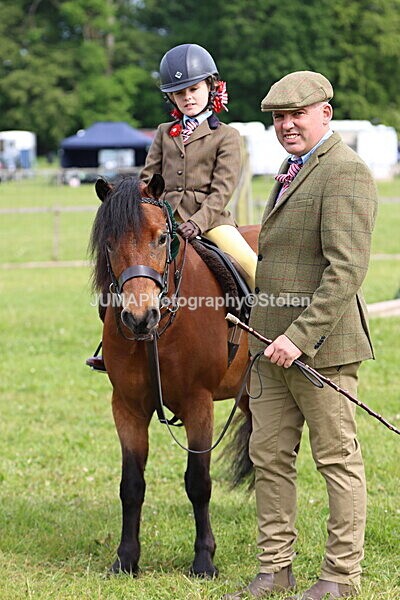 IMG_2345 - Working Hunter