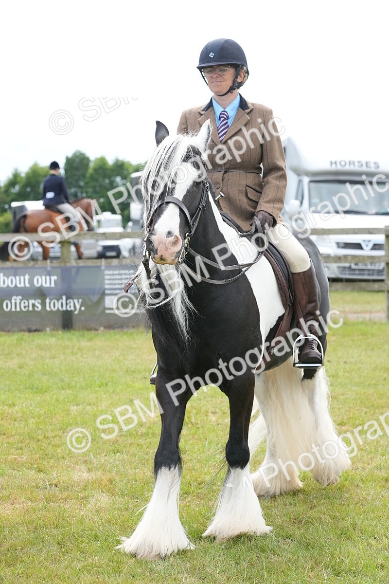 SBM_17334 - Class 107-108 - LIHS BSPS Performance Coloured Horse Pony