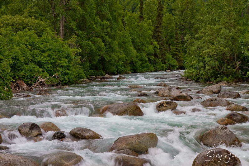 Alaskan Mountain Stream in Summer 1