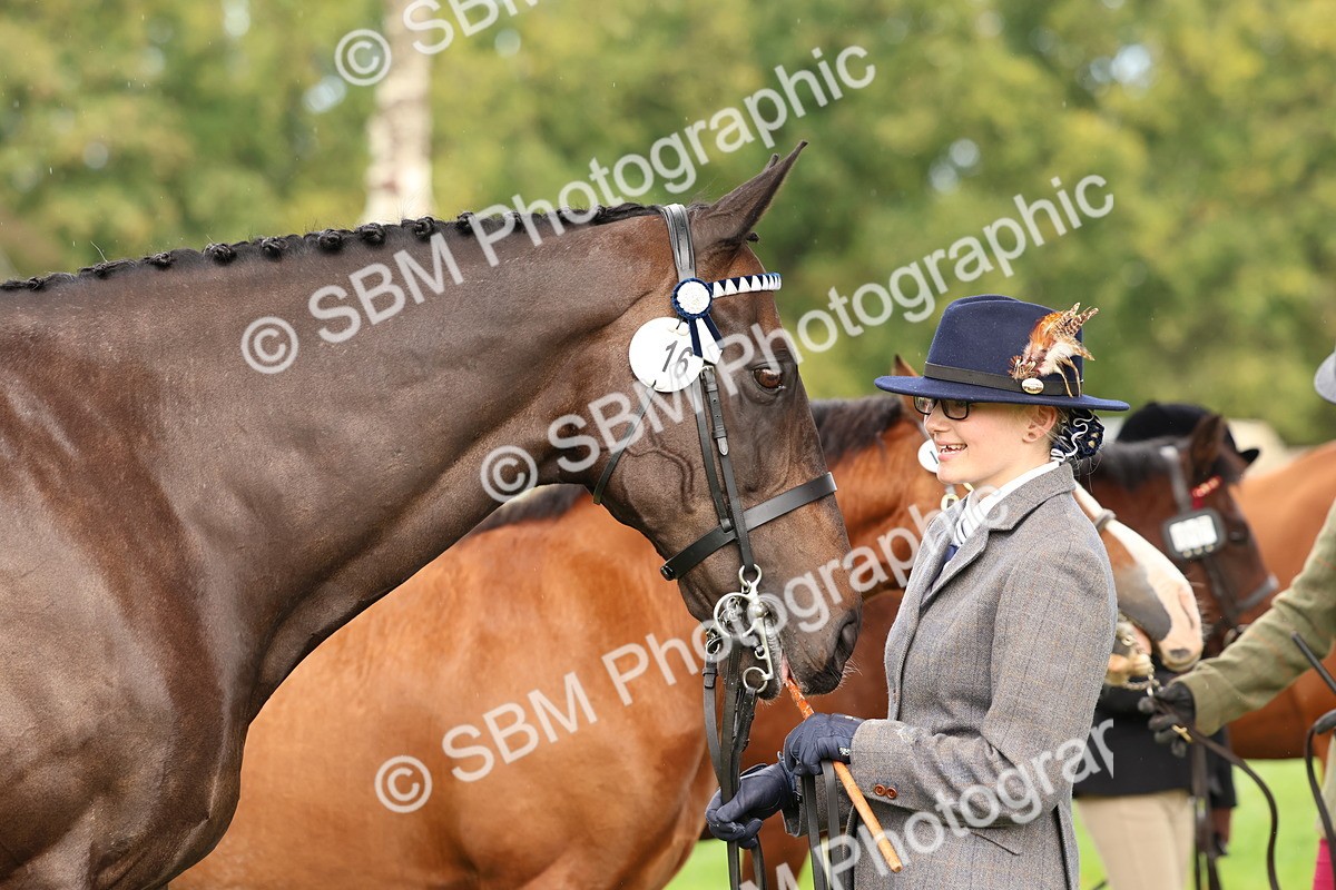 SBM_39323 - S24 - Young Veteran In Hand