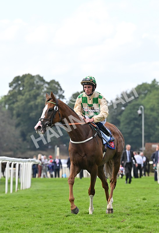 220826-144 Daiquiri Bay - Race 4 15.35pm Sky Bet Ebor Handicap