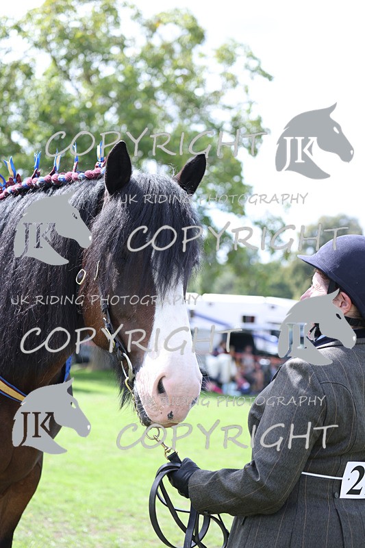 APP_3277 - Class 4 Veterans