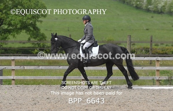 BPP_6643 - 42 L MCKIRDY