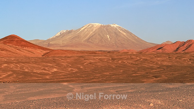 Lascar volcano, late afternoon, Chile - Chile