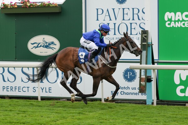 yr11062022r1-159 - Race 1 12.45pm Macmillan Ride of Their Lives, supported by Sky Bet