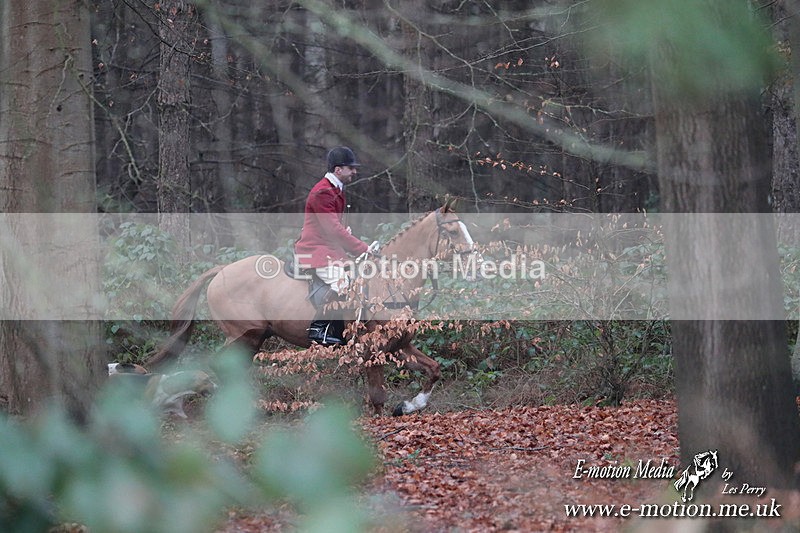 HUPY 261224 305 - Pytchley with Woodland Hunt Boxing Day Meet 26th December 2024