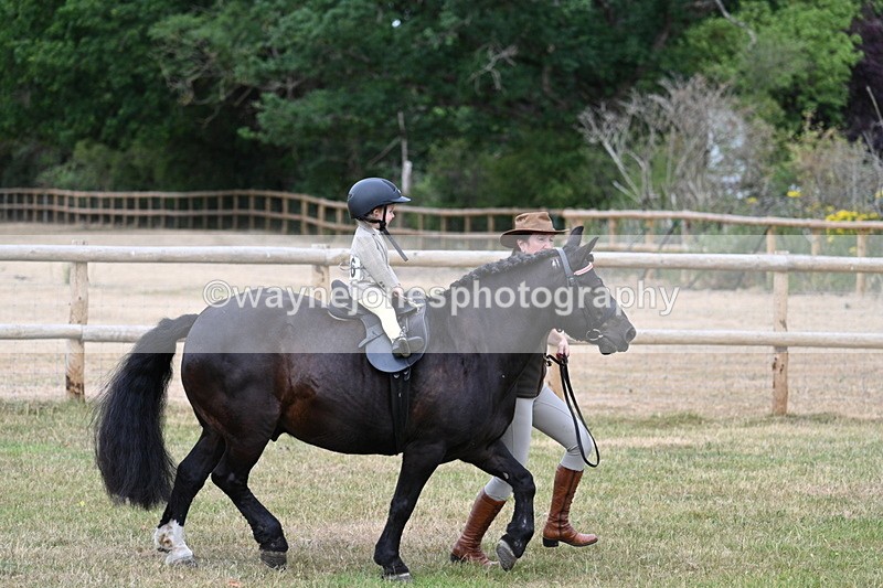 WJ7_9675 - Class 1 Lead Rein Pony
