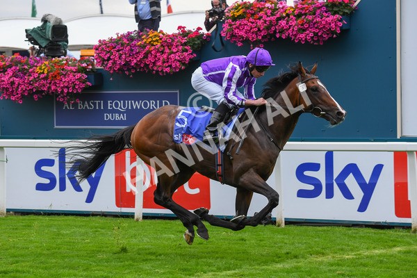 230823-Race 3-Continuous-0472 - Race 3 3.00pm Sky Bet Great Voltigeur Stakes