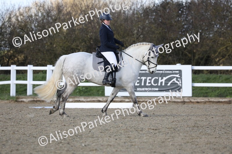 20260314-5096 - CT6 - Elementary 1