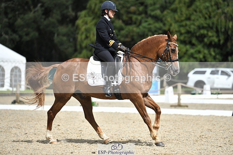 230812-141943-04670 - Cls 7 FEI PSG Bronze