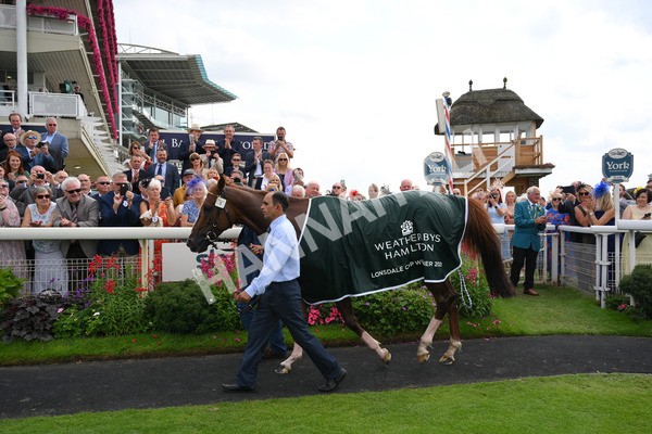 yr20082021r2-113 - Race 2 2.25pm Weatherbys Hamilton Lonsdale Cup (British Champion Series race)